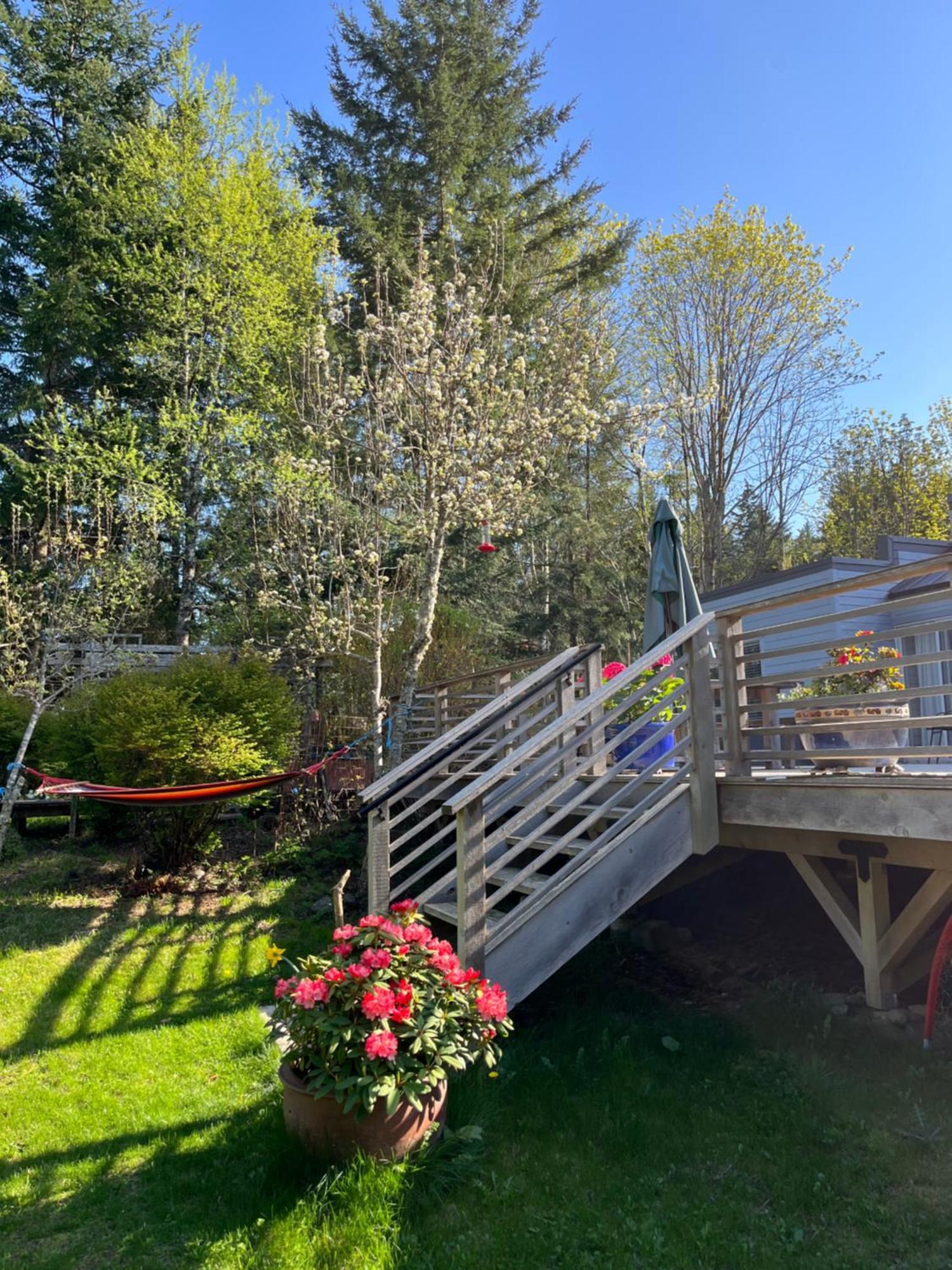 Forest By The Sea Rentals Merville Exterior foto